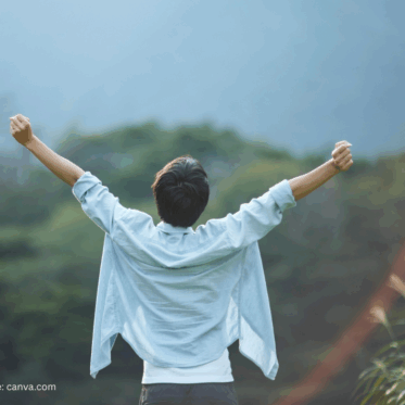 Montags-Impulse #374 Systemdreieck