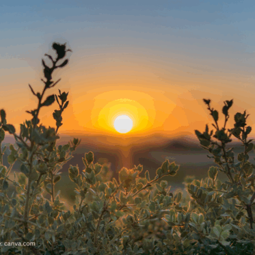 Montags-Impulse #377 Zyklisches Bewusstsein