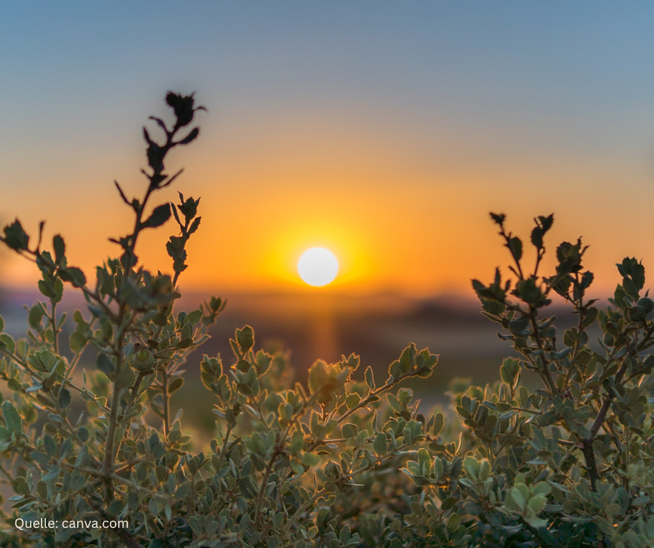 Montags-Impulse #377 Zyklisches Bewusstsein