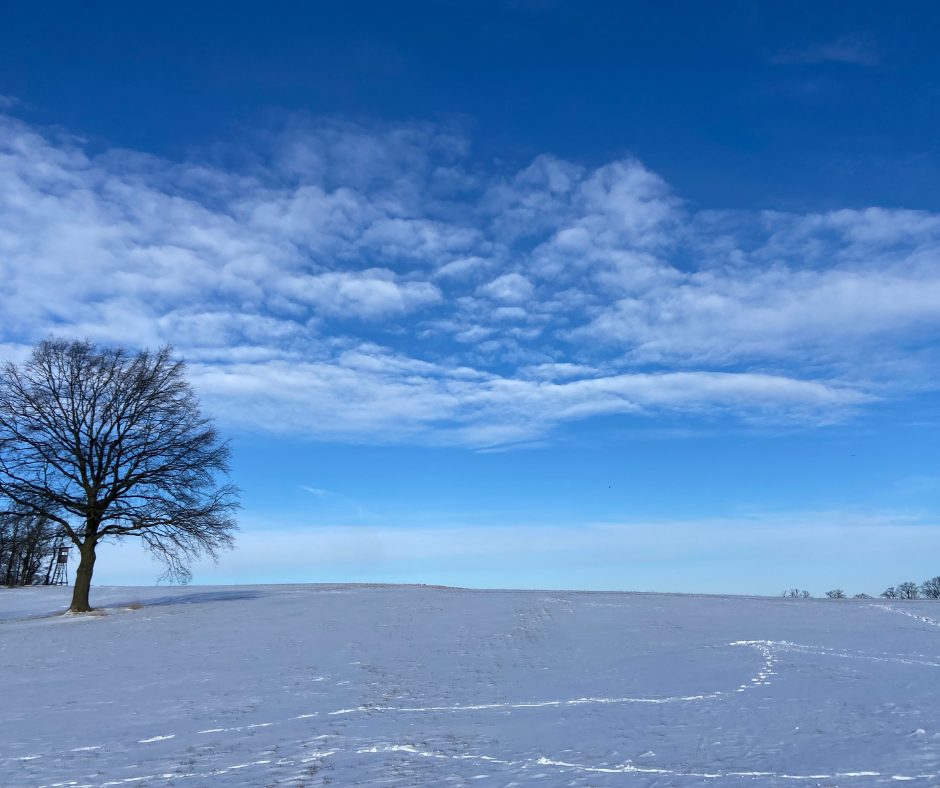 Montags-Impuls #381 Ankommen in 2026