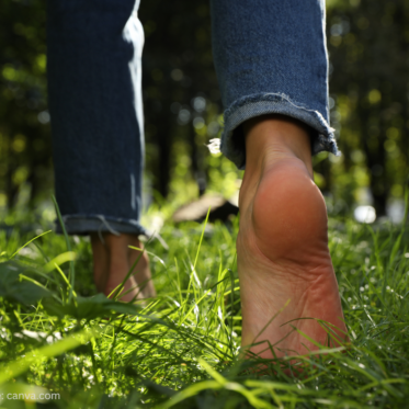 Montags-Impuls #384 Innere Freiheit