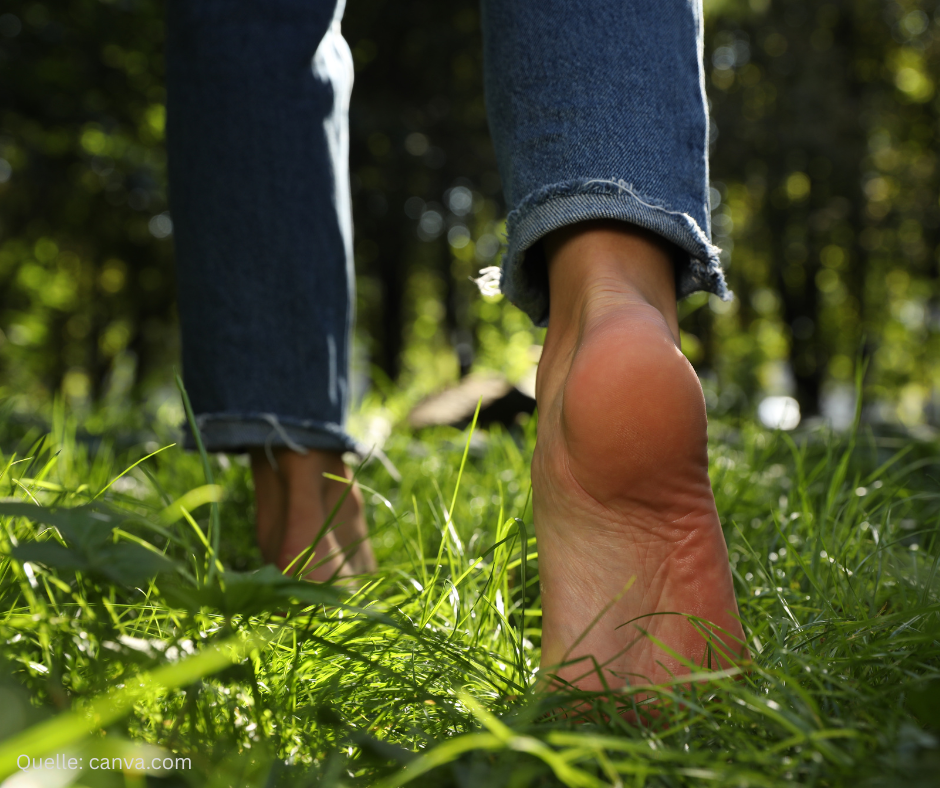 Montags-Impuls #384 Innere Freiheit