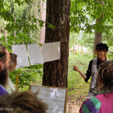 Montags-Impuls #385 Das gute Leben für alle (1)