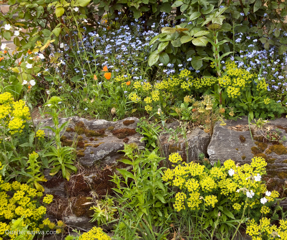 Montags-Impuls #386 Der Garten des Lebens
